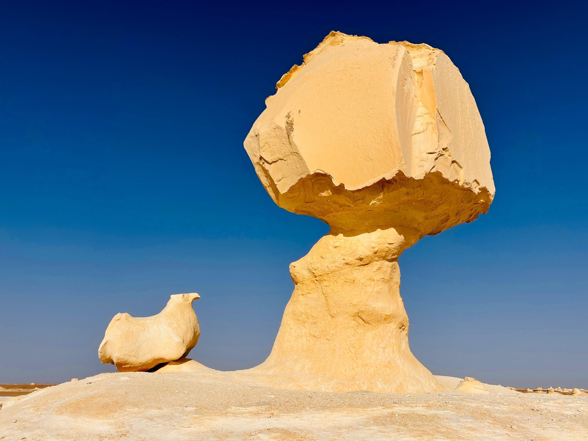 Image of Western Desert Egypt Tour | 8-Day Siwa, Bahariya & White Desert