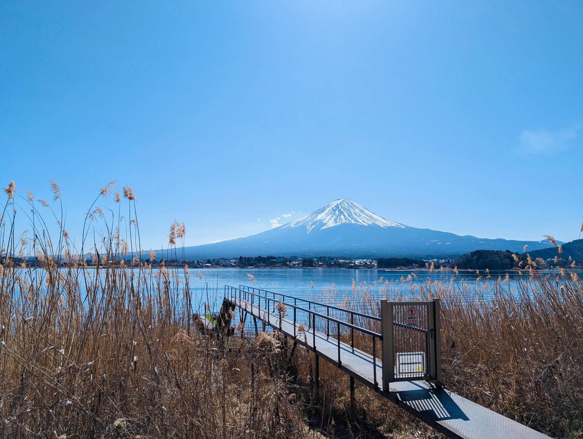 Image of Premium Japan Tour 7 Days | Tokyo, Kyoto & Kawaguchiko