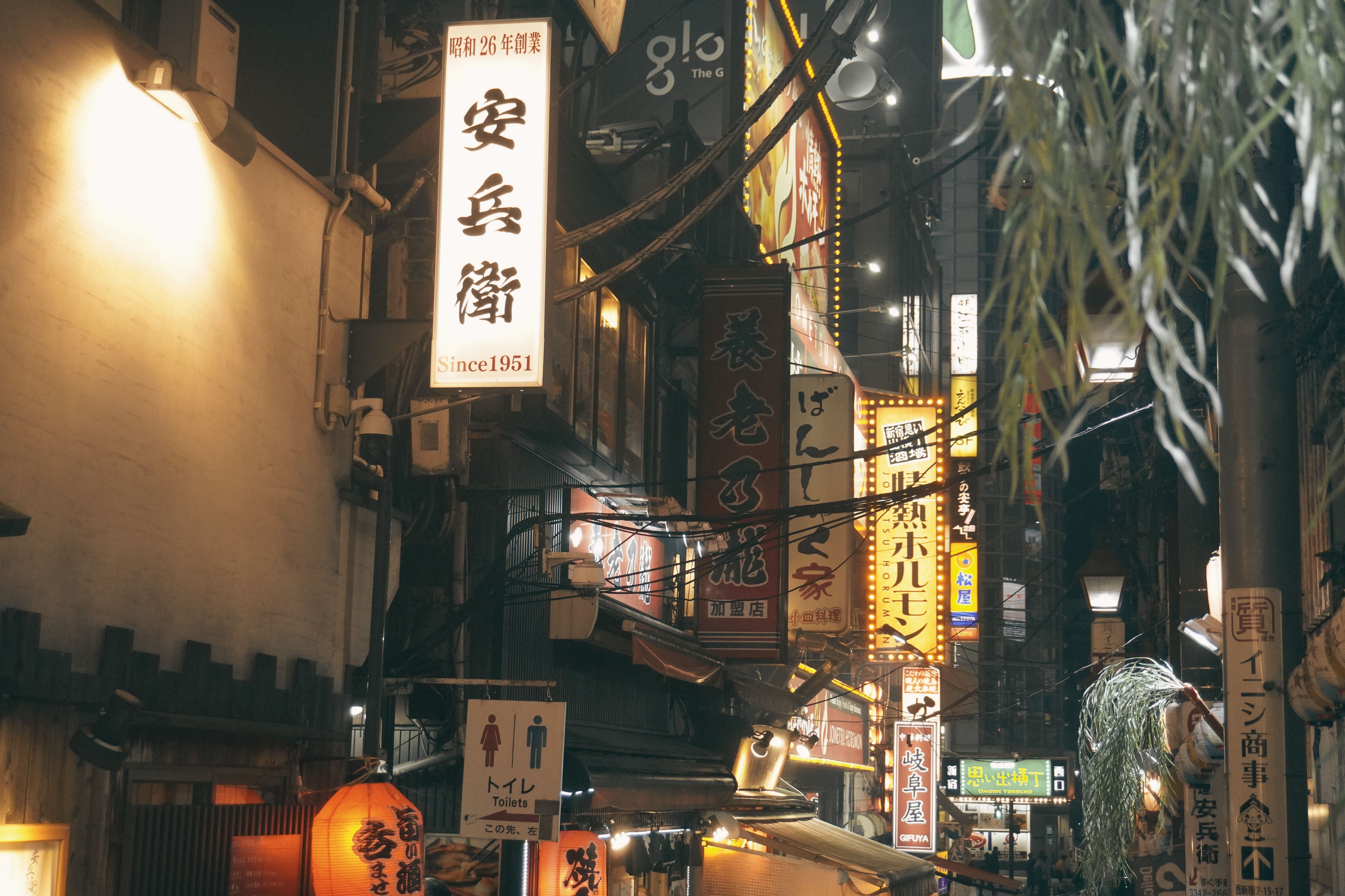 Image of Muslim-Friendly Japan: 7D6N Halal Dining + Cultural Icons