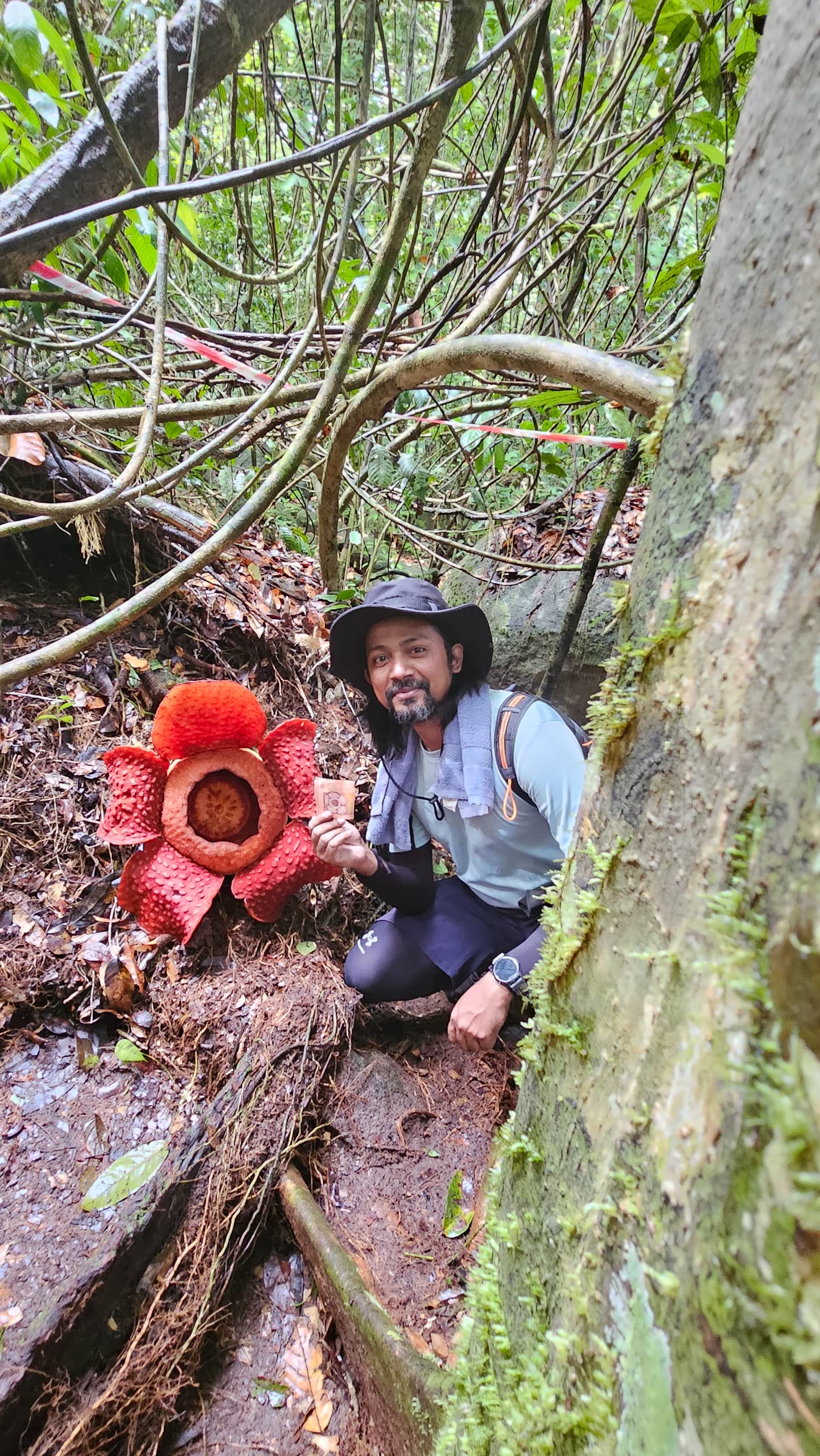 GUNUNG GADING RAFFLESIA