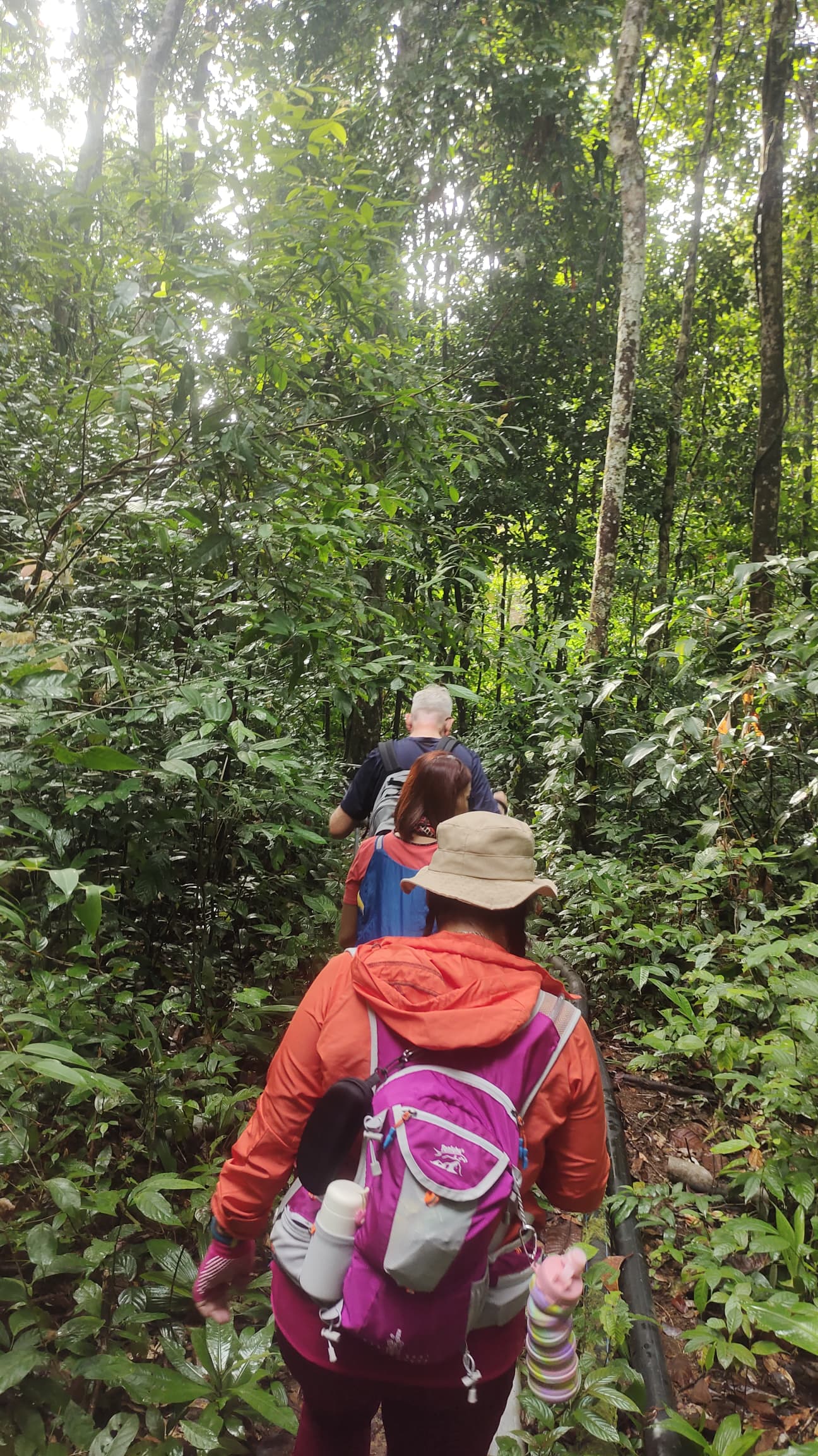 GUNUNG GADING RAFFLESIA