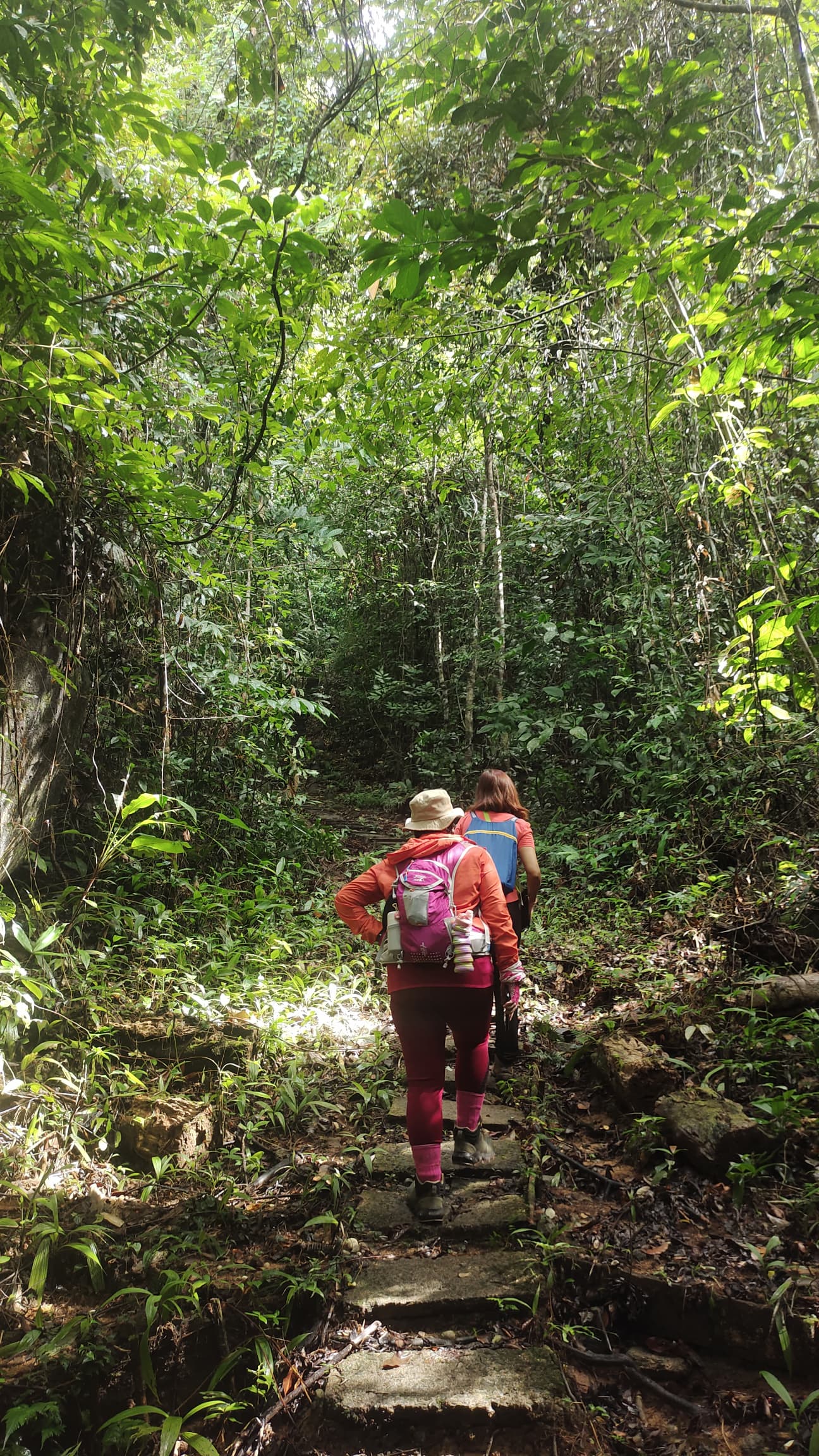 GUNUNG GADING RAFFLESIA