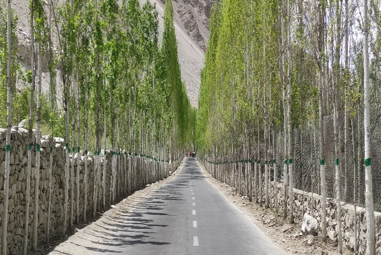 Image of 10D Autumn Pakistan Scenic Tour: Lahore, Islamabad, Naran, Hunza, Skardu