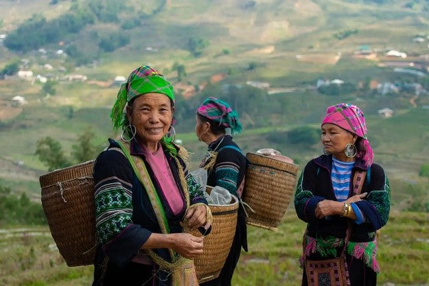 Vietnam Adventure & Heritage 15-Day: Halong Bay Cruise, Sapa Villages, Cu Chi