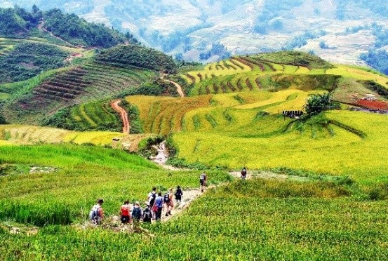 Image of Best of Vietnam 15-Day Classic Tour: Hanoi, Halong, Sapa & Mekong Delta