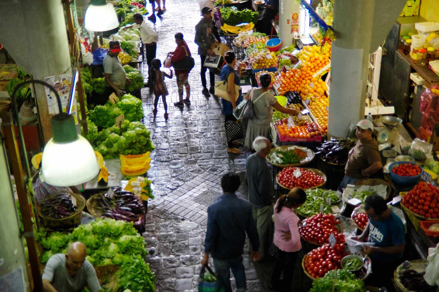 Image of Port Louis Highlights Tour: Forts, Markets & Coastal Charm