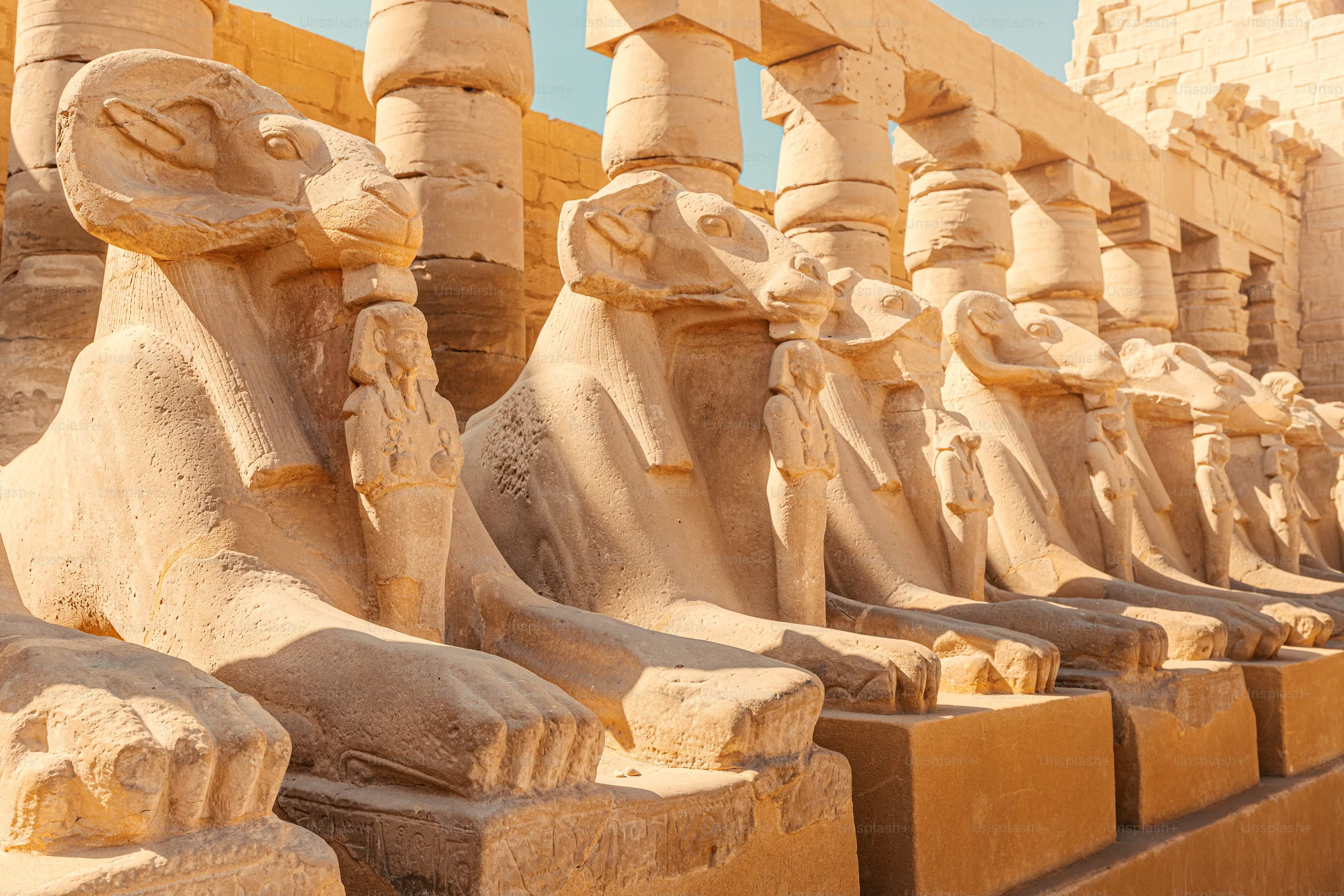 Image of Luxor 2 Day Express: Flight, Temples & Valley of the Kings