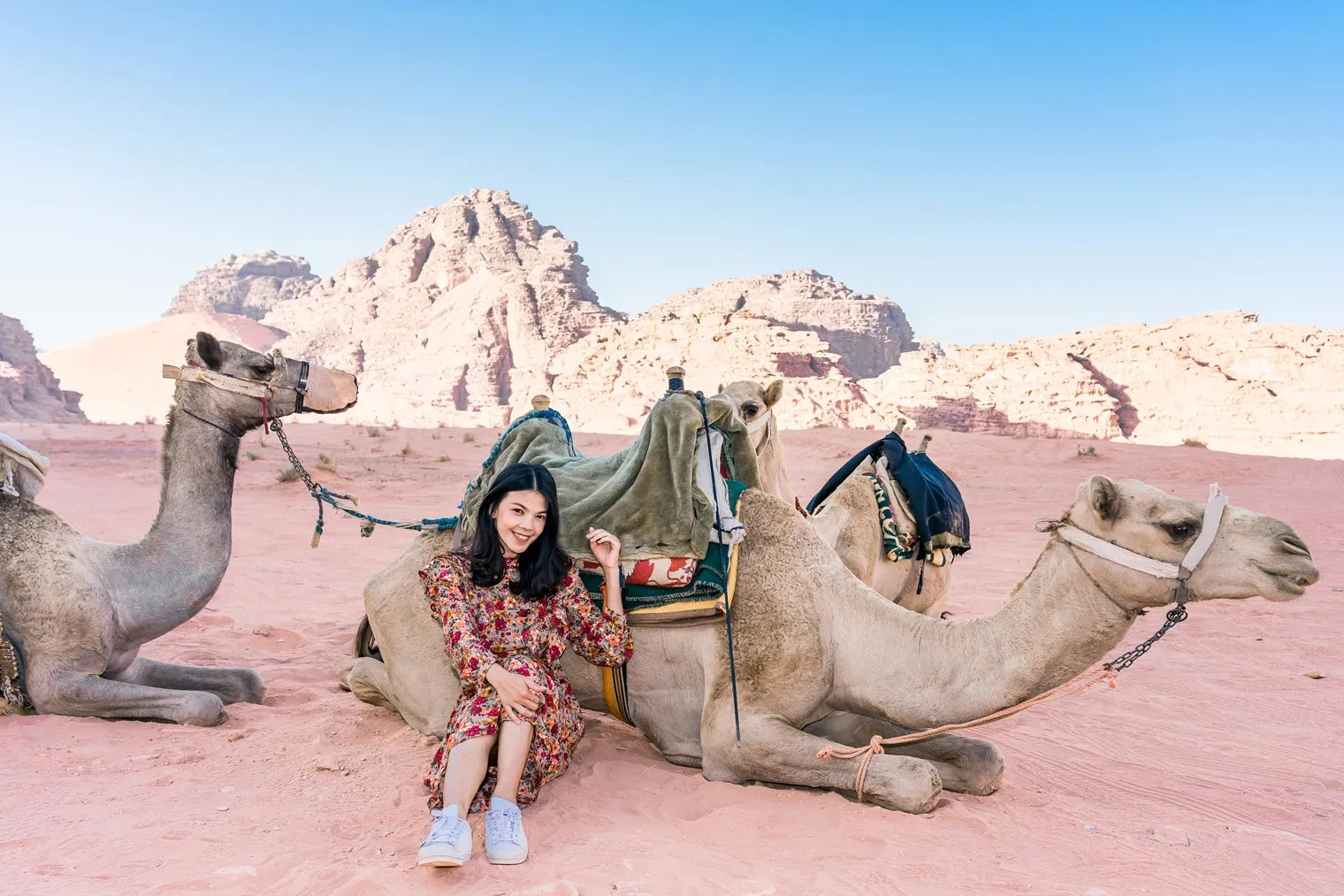 Image of Sharm El Sheikh Camel Safari – Sunset, Desert & Bedouin Dinner