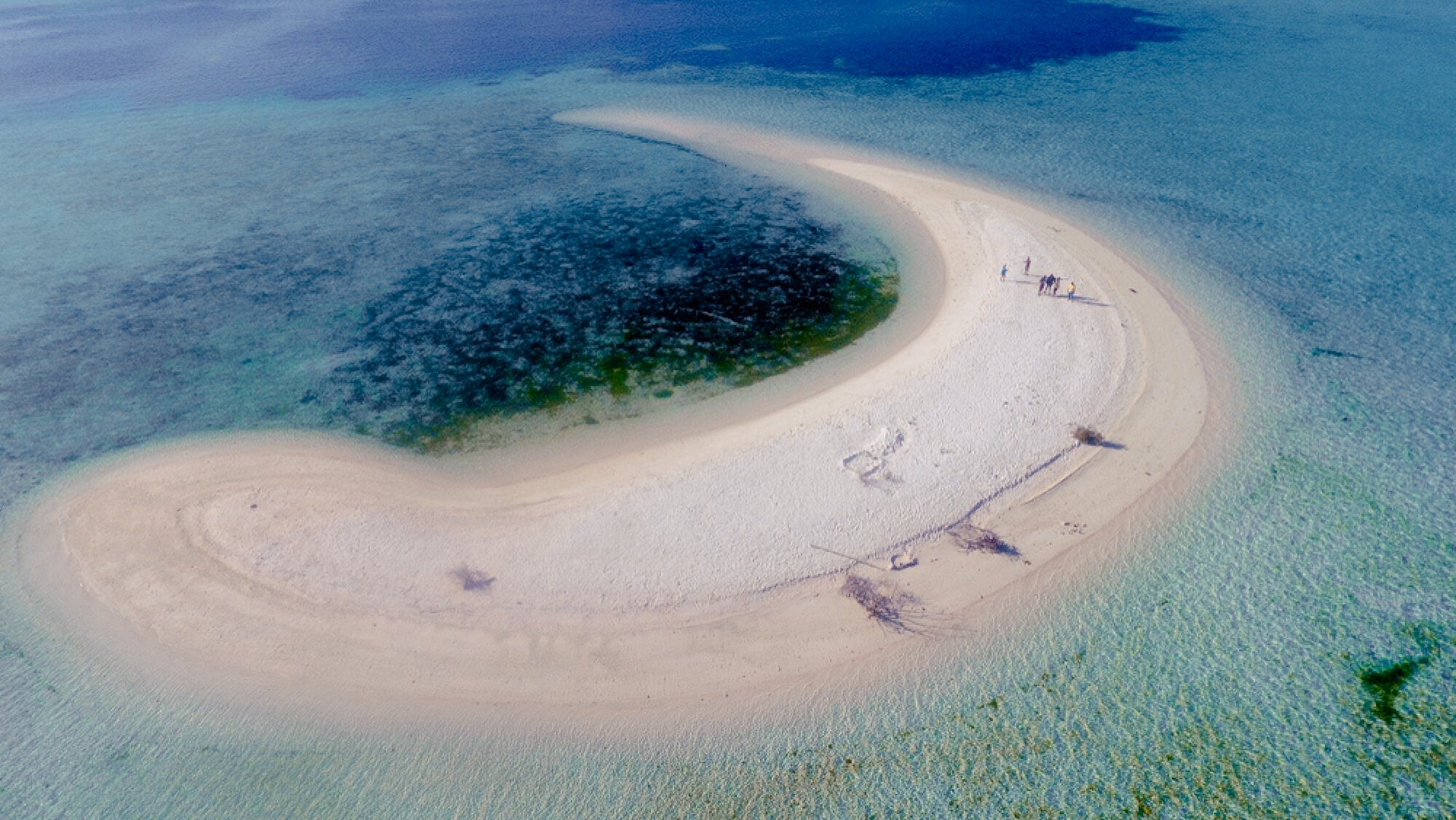 Komodo Full-Day Speedboat Tour – Dragons, Pink Beach & Manta Point