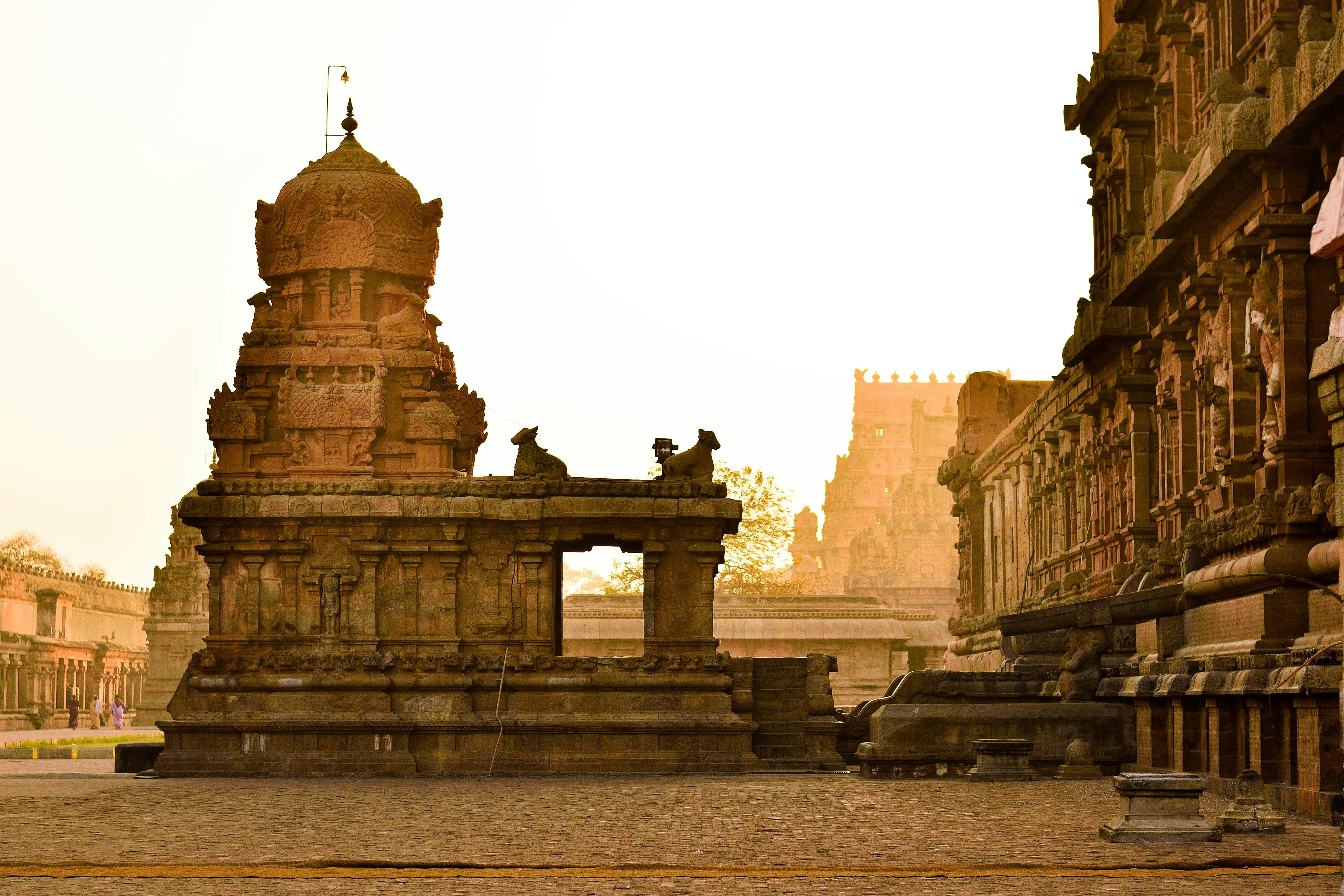 Image of 13D Sacred Tamil Nadu & Serene Kerala Backwaters Journey (4* Hotel)