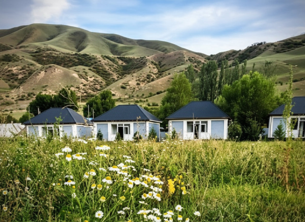 Image of Almaty to Charyn Canyon and Kolsai Lake Day Trip Scenic Canyon Hiking and Lake Views