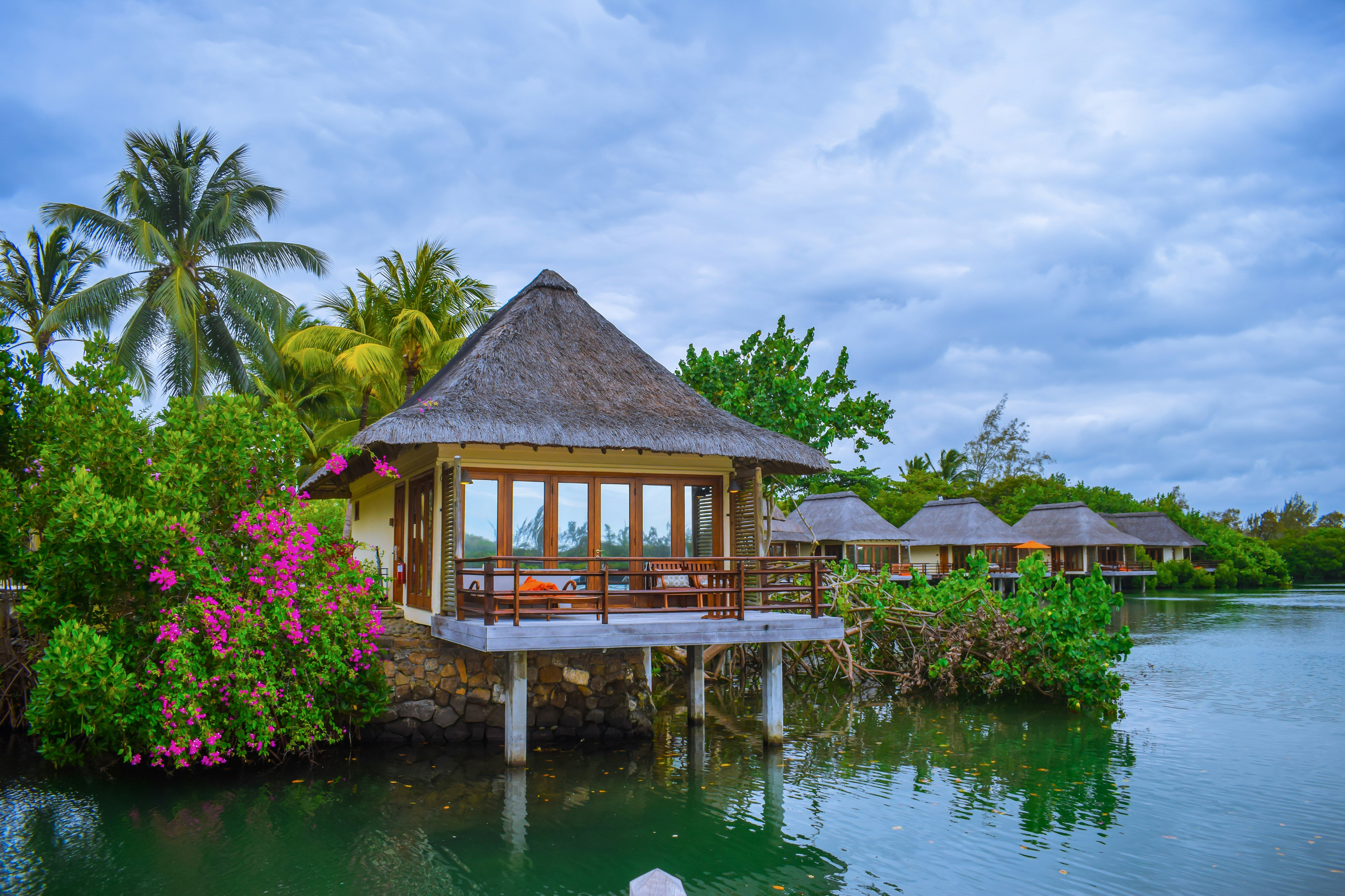 Image of Swim with Dolphins & Island Escape – Crystal Rock & Île aux Bénitiers Tour