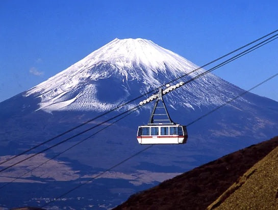 Image of The Ultimate 7D6N Japan Golden Route & Shirakawa-go Muslim-Friendly Escape
