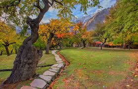 Lahore to Hunza & Skardu Apricot Blossom Tour — Spring Valley Flowers 9-Day
