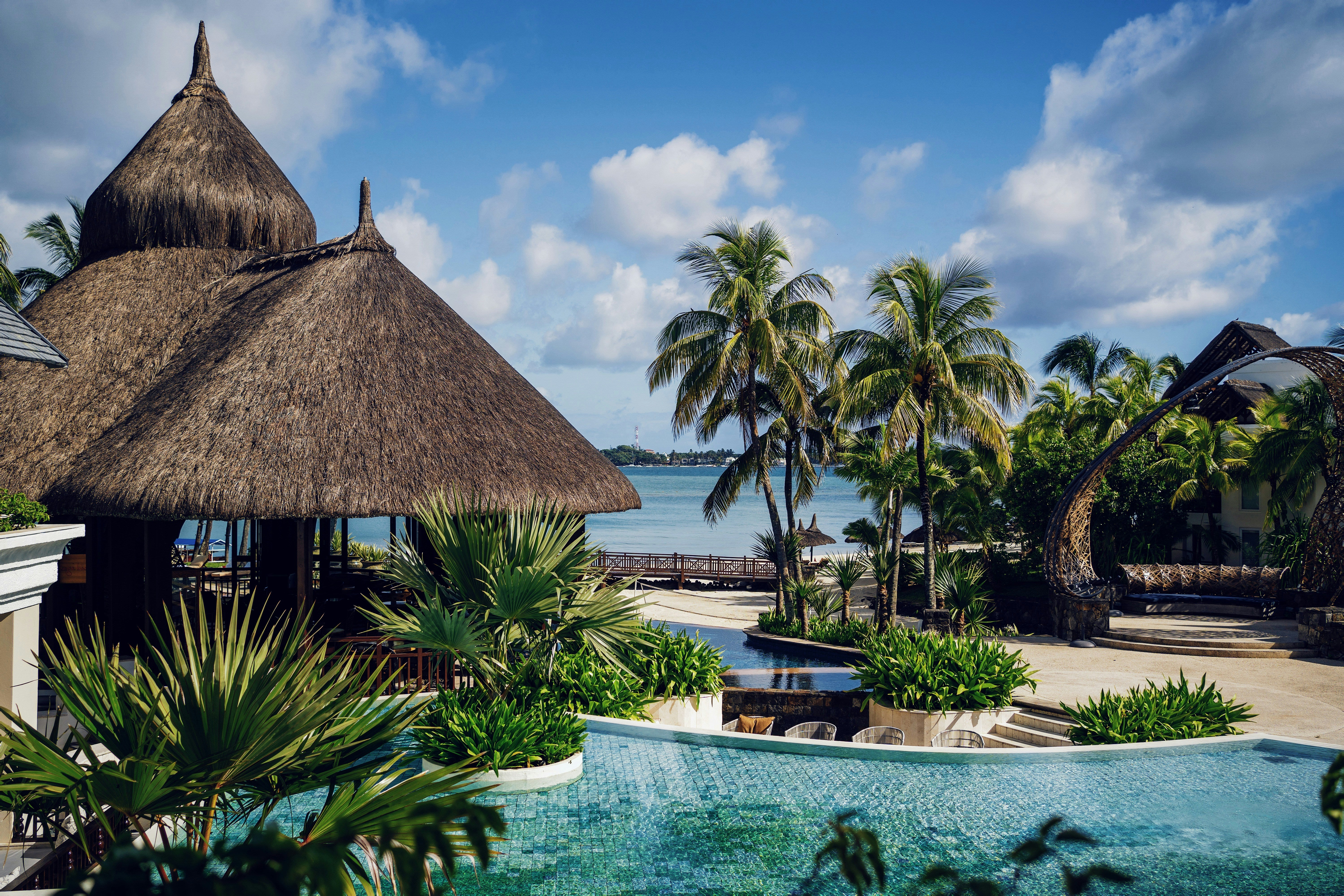 Image of Mauritius Whale & Dolphin Safari – Nature’s Most Emotional Experience