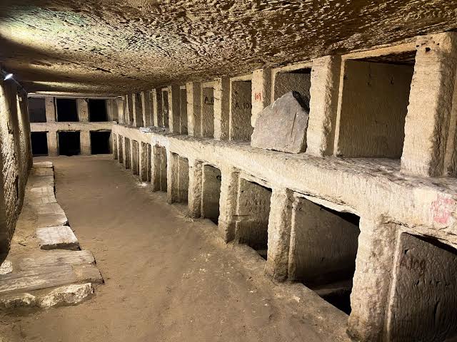 Image of Alexandria Day Tour – Library, Catacombs & Qaitbay Citadel