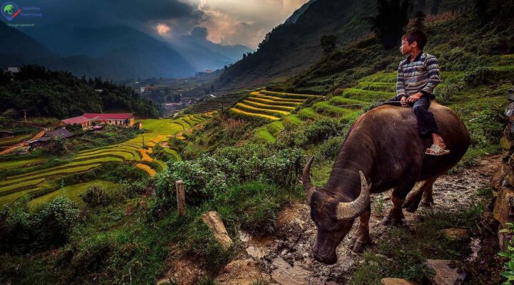 Enchanting Vietnam: 6 Days of Hanoi, Halong Bay, and Sapa Explorations [5* Hotel]