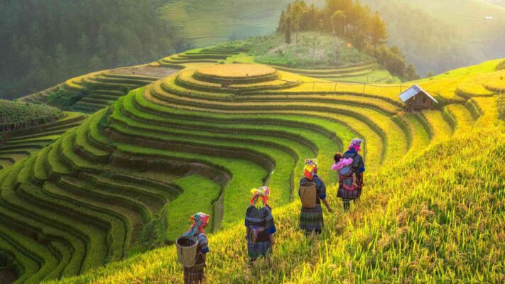 Image of Discover Vietnam: A 6-Day Journey through Hanoi, Halong Bay, and Sapa [4* Hotel]