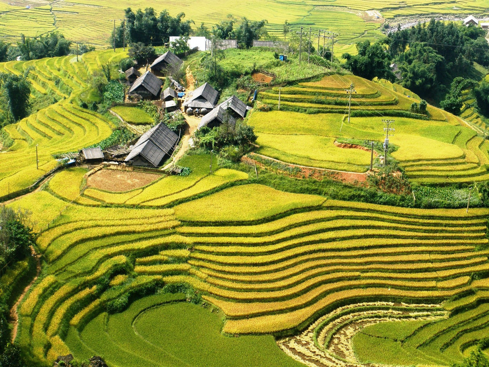 Image of Luxury 6D5N Hanoi, Sapa & Halong Bay Tour – Fansipan & Cruise
