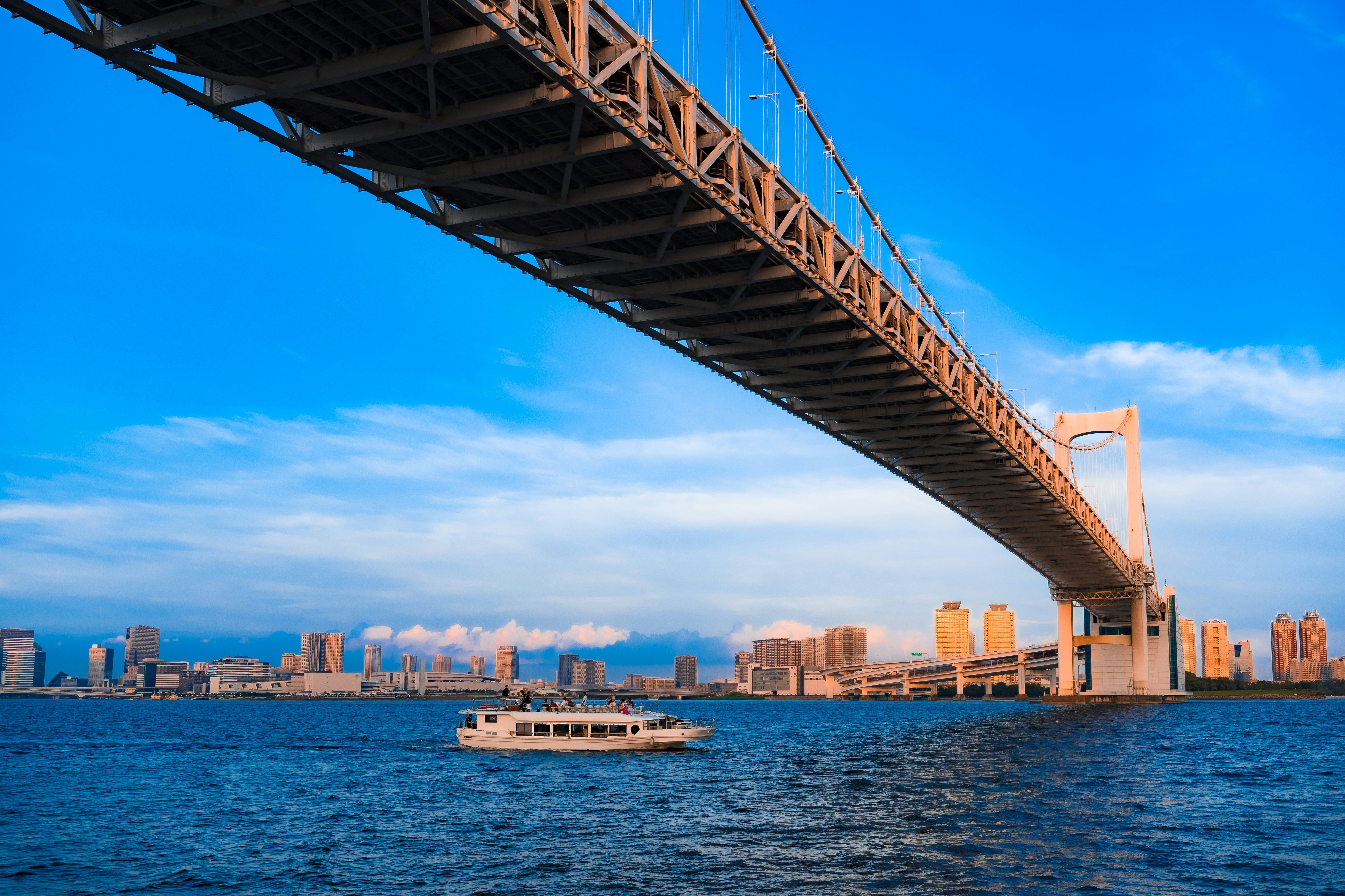 Image of Tokyo One-Day Matcha Experience & Bay Cruise