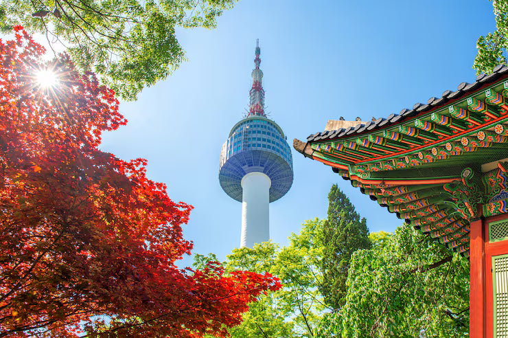 5D Best of Seoul Tour with Nami Island Adventure [Muslim-Friendly]