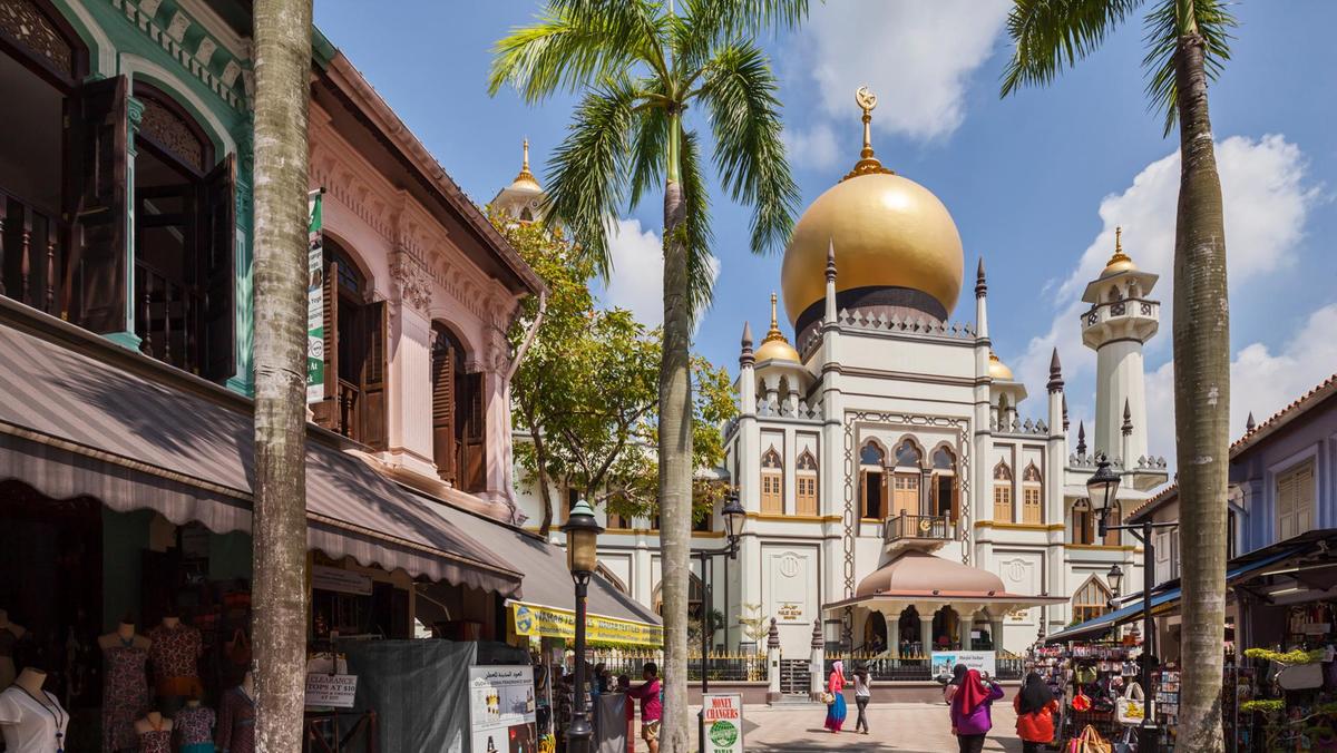 Heart of Singapore Walking Tour: Heritage, Landmarks & Photo Moments (Afternoon)
