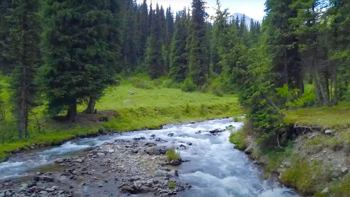Epic Son-Kul Expedition: 10 Days on Horseback in Kyrgyzstan