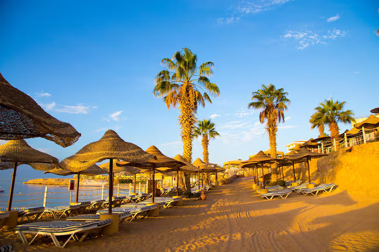 Image of Arabian Nights Spectacle Sharm El Sheikh — Alf Leila Wa Leila Experience