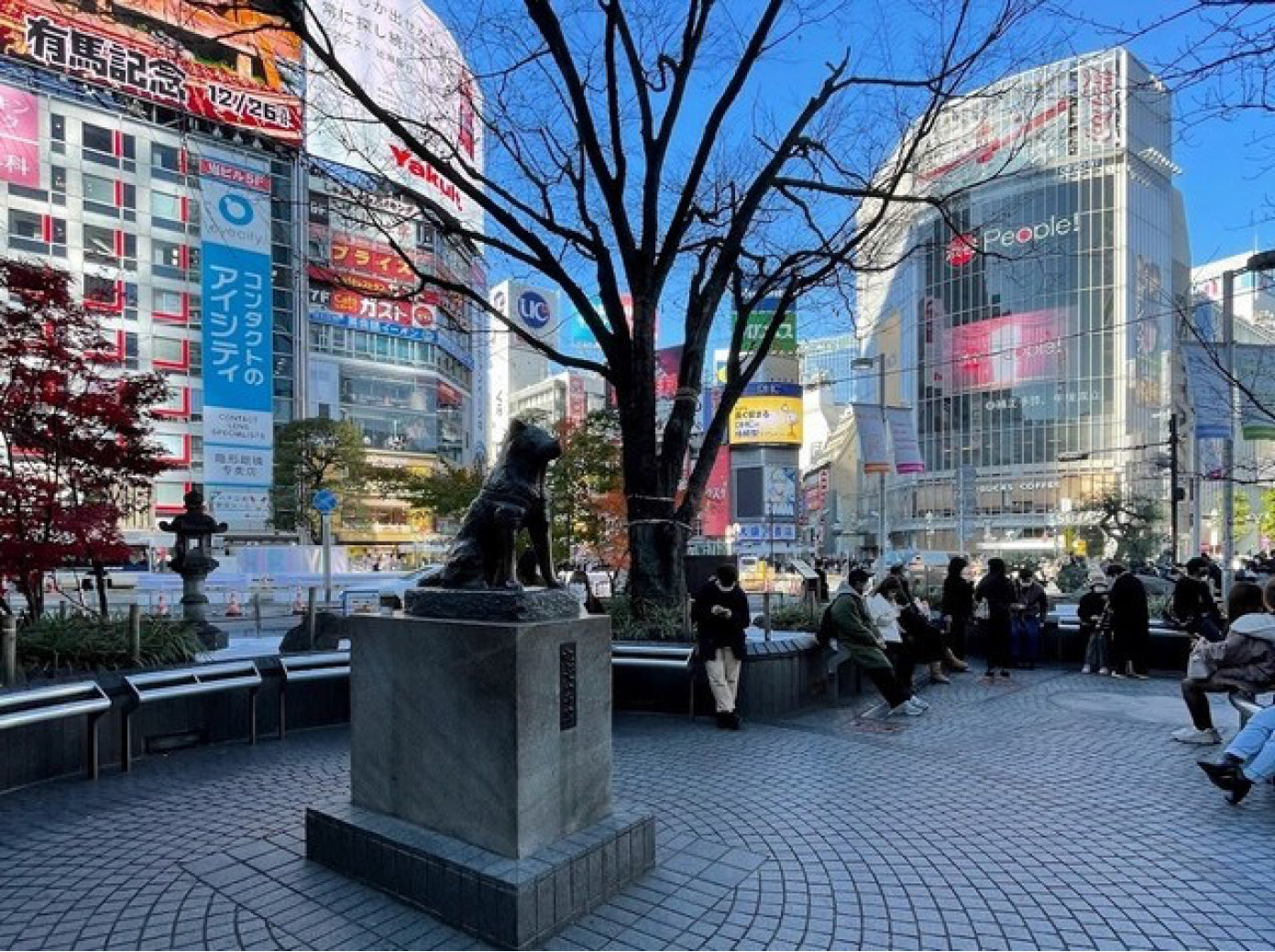 Image of Tokyo Highlights: Asakusa, Shibuya & Muslim-Friendly Lunch Tour