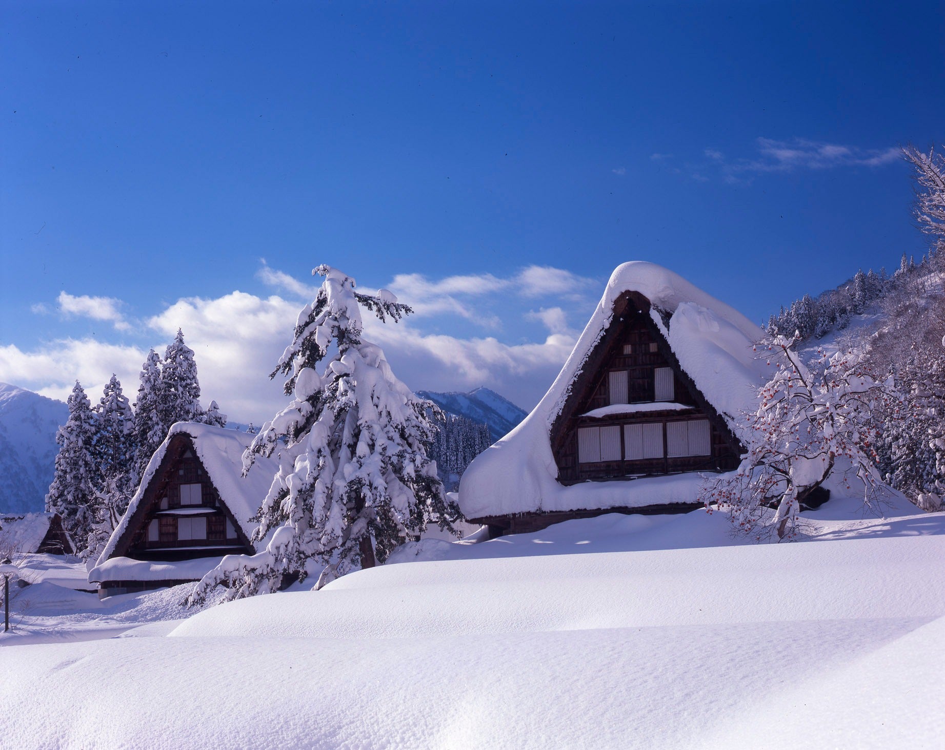 Image of 7D6N Golden Route & Shirakawago — Mt. Fuji, Takayama & Kyoto