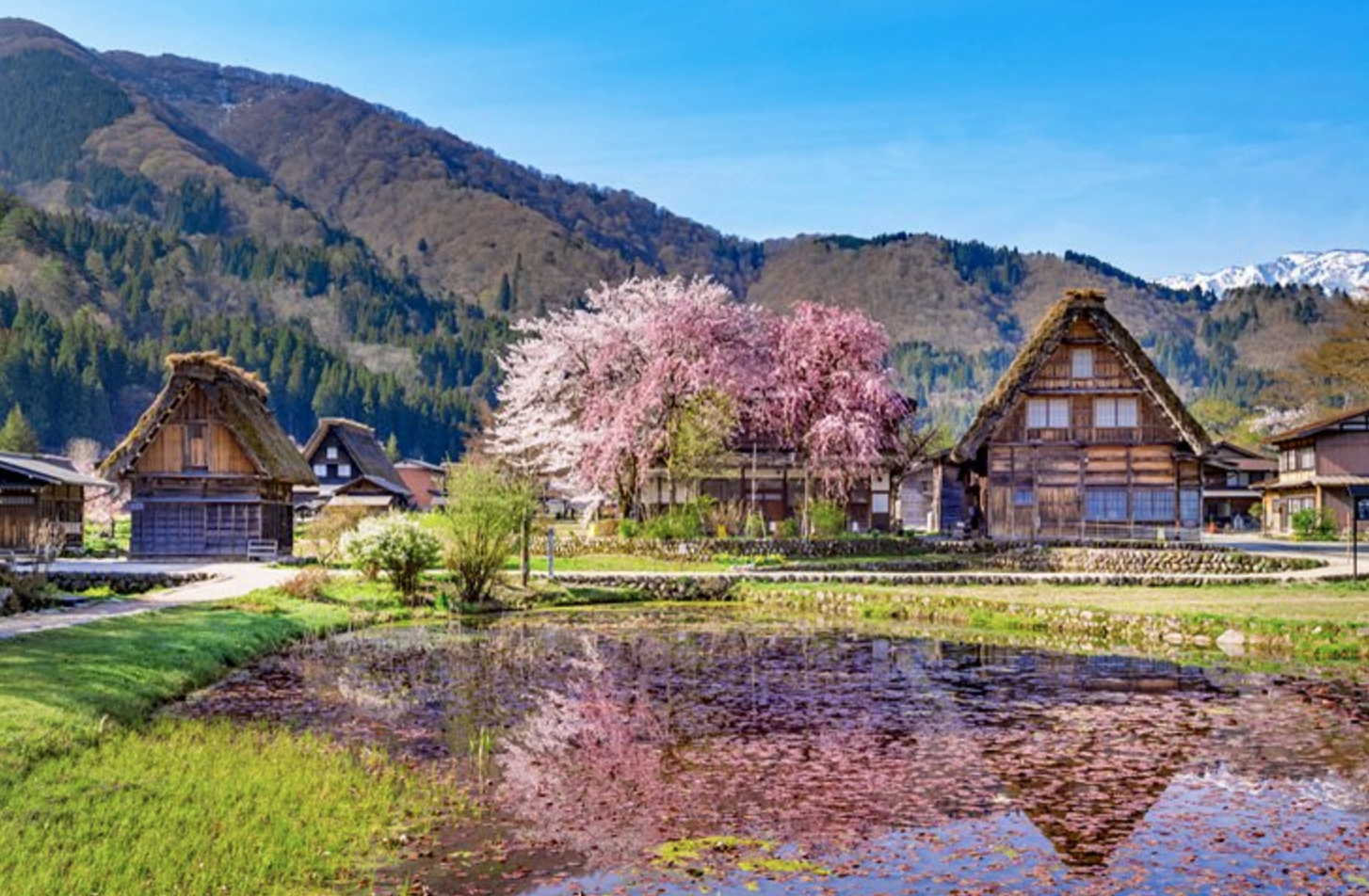 Japan Discovery: 7D6N Full Package Tour including Mt. Fuji & Shirakawa-go