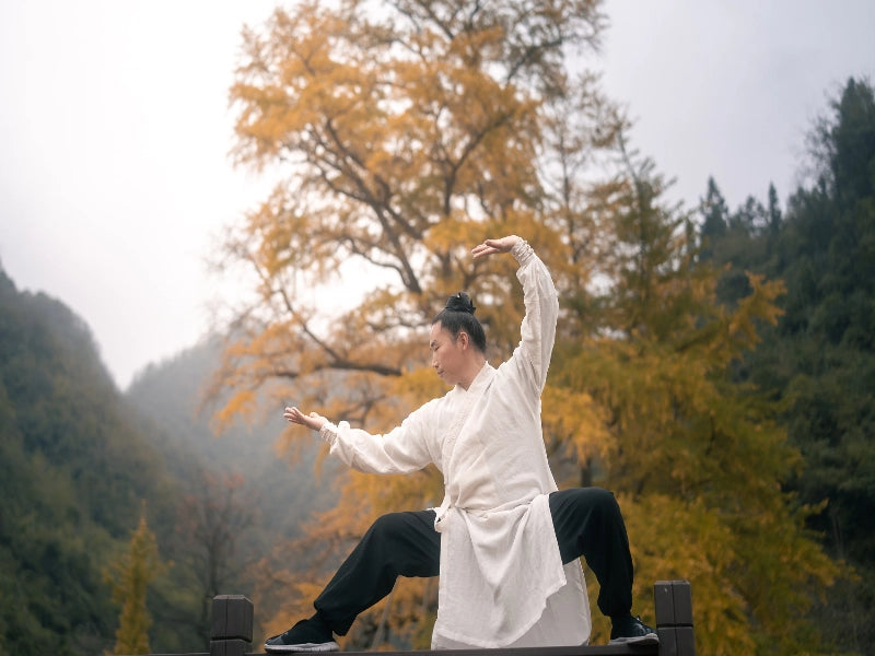 Image of 5-Day Wudang Mountain Sacred Heritage & Light Trekking Tour