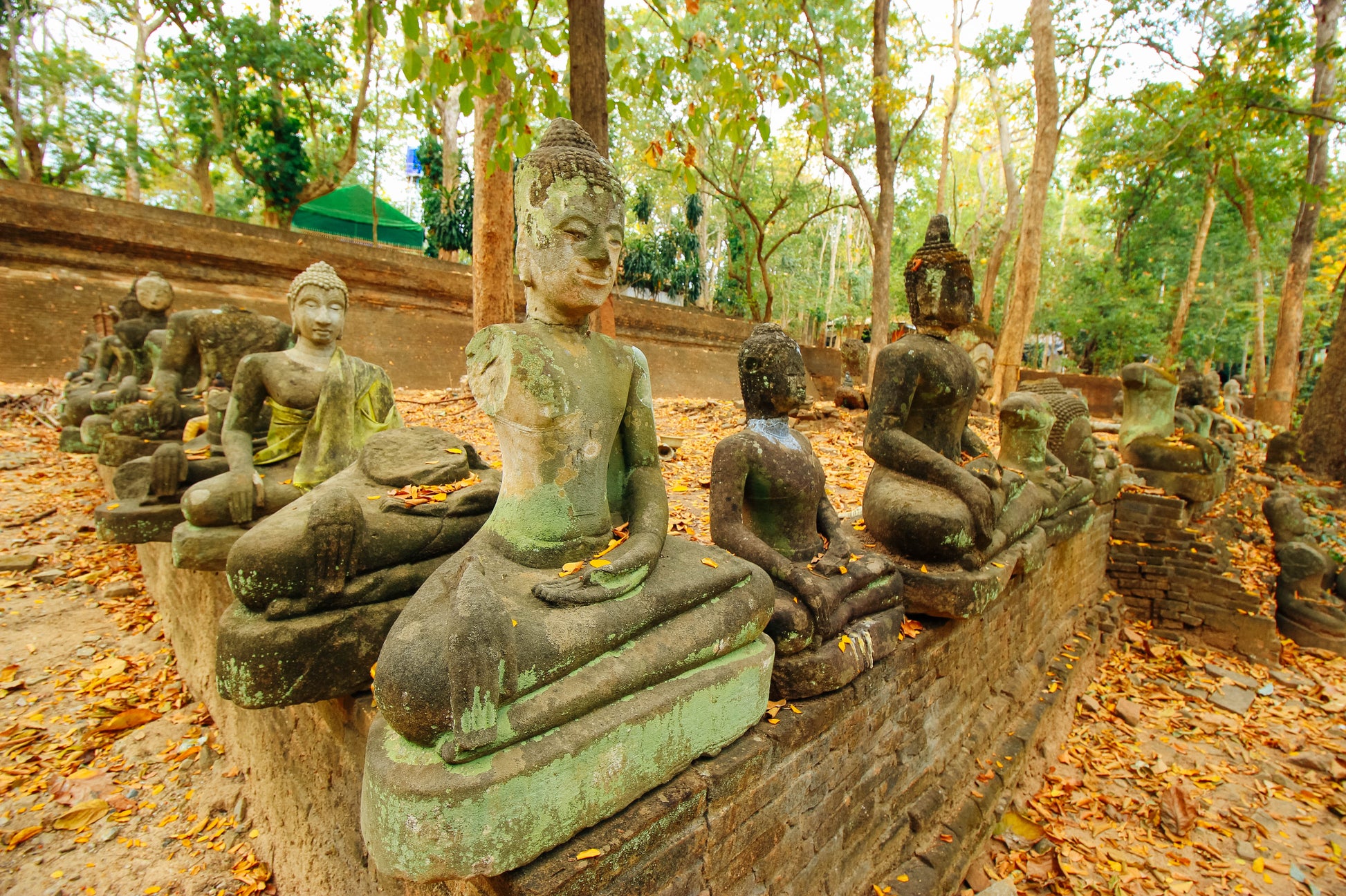 Chiang Mai Cultural Essence Tour: Temples, Hill Tribe & Hidden Café