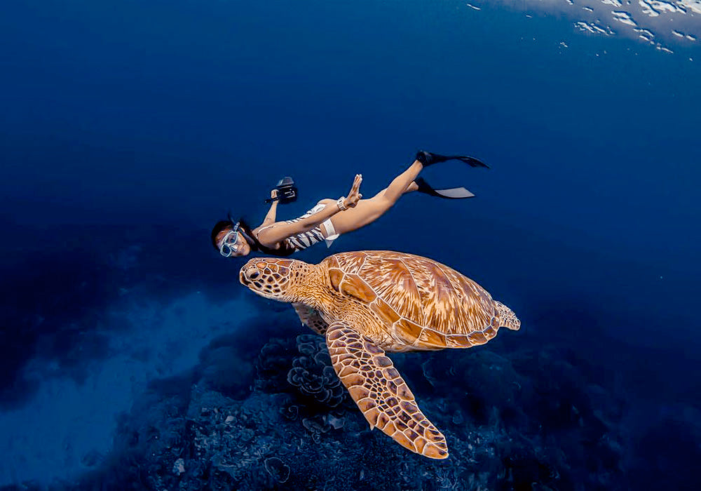 Image of Discover Komodo National Park – 3D2N Private Sailing & Island Exploration