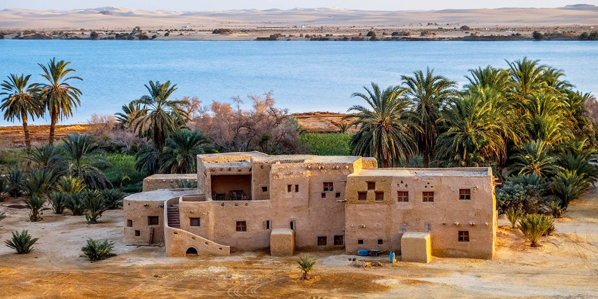 Image of Alexandria & Siwa 3-Day Tour from Cairo — Coastal & Oasis Highlights