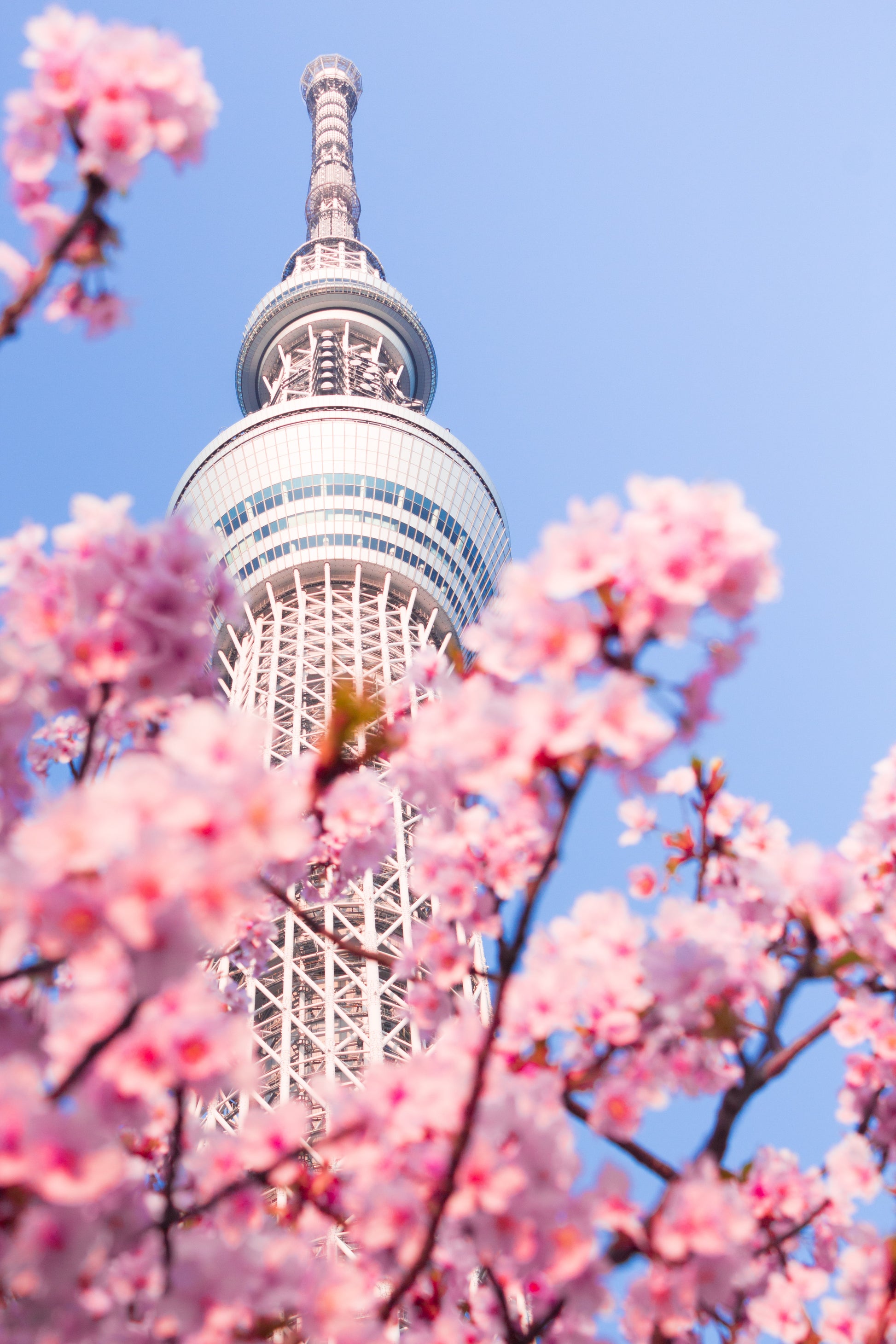 Tokyo Weekend Retreat: Relaxed Sightseeing & City Eats