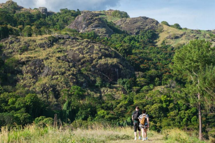 [Morning Session] Best of Nadi Highlights: Culture, Markets & Hot Springs Tour