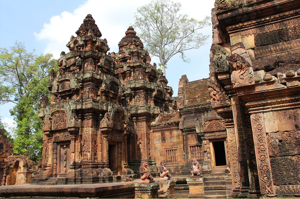 Image of 1-Day Angkor Wat and Banteay Srei Highlights