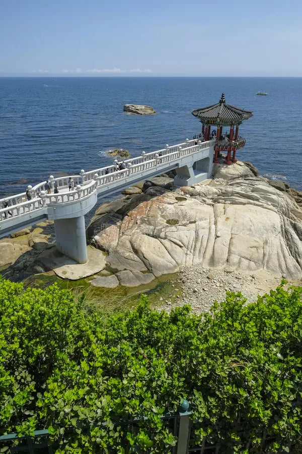 Image of [Car & Drive Only] East Coast Breeze: From Seoul to Sokcho & Gangneung Coastal Drive (10 hrs)