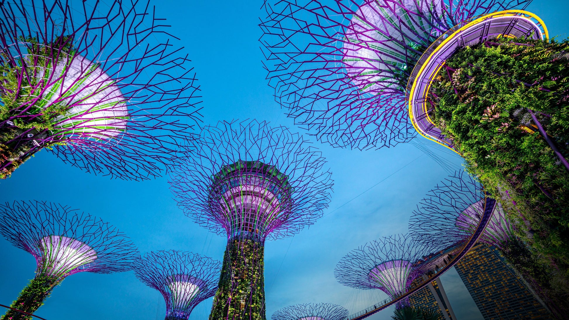 Nightfall in Singapore: Skyline Cruise, Light Shows & Local Flavors