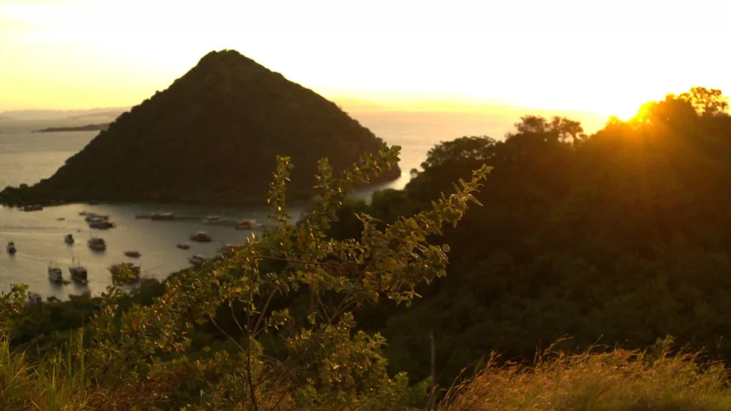 Image of Labuan Bajo Highlights Tour: Goa Rangko, Waecicu Beach & Sunset Hill