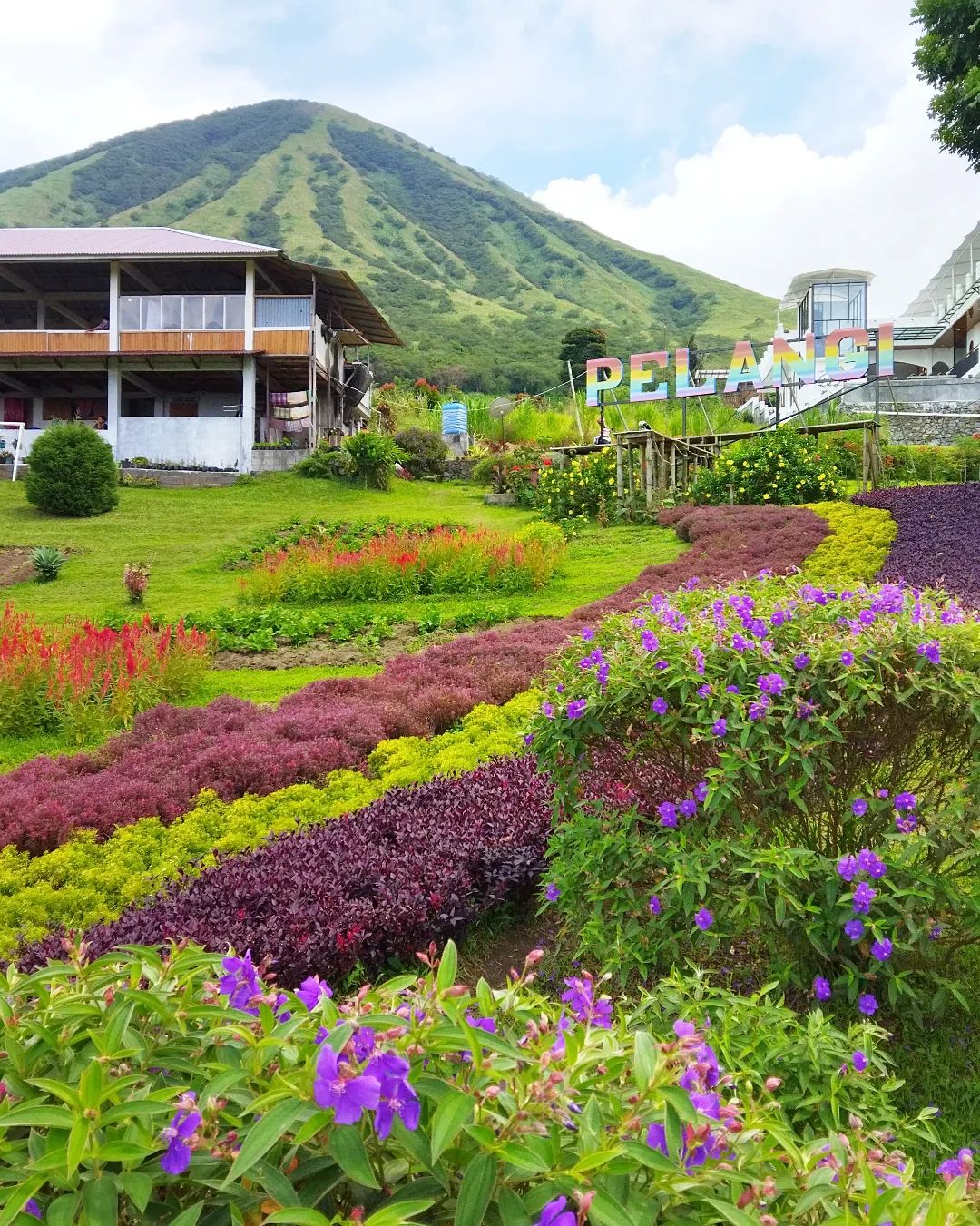 Image of Manado Panorama: City Views, Highland Wonders & Lihaga Island