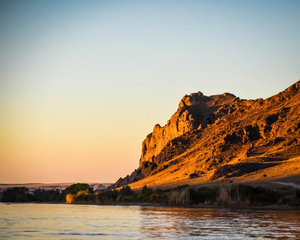 Tamgaly Tas Rock Art Excursion UNESCO Petroglyphs and Ili River Views