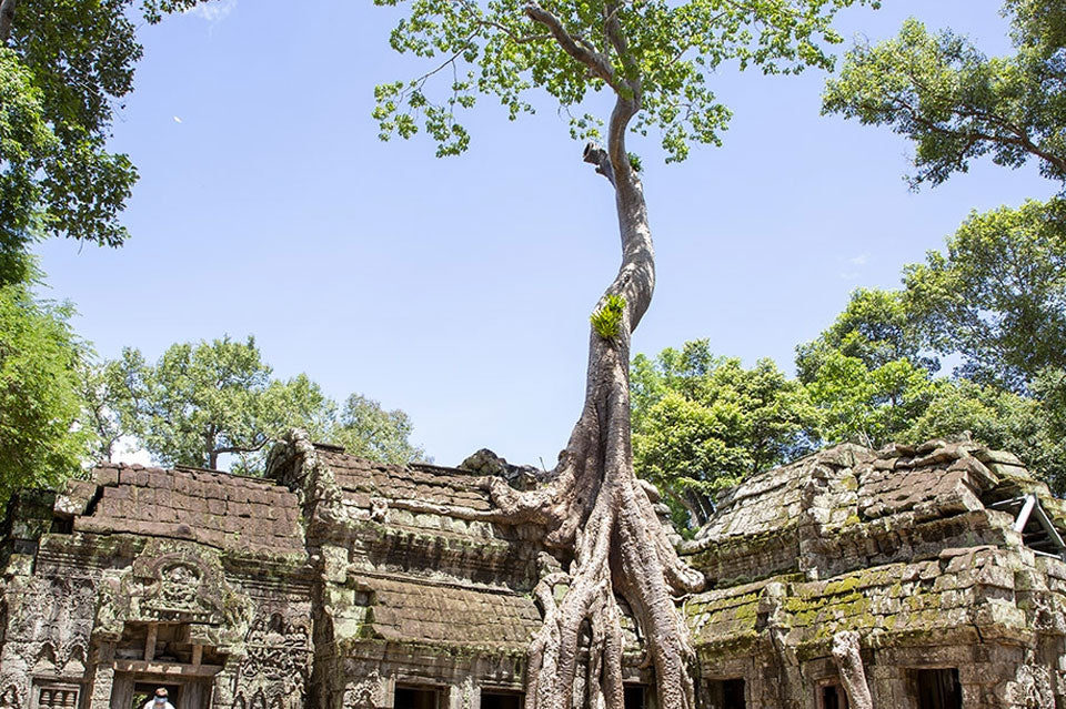 Cambodia: 3 - Day Angkor Adventure Tour