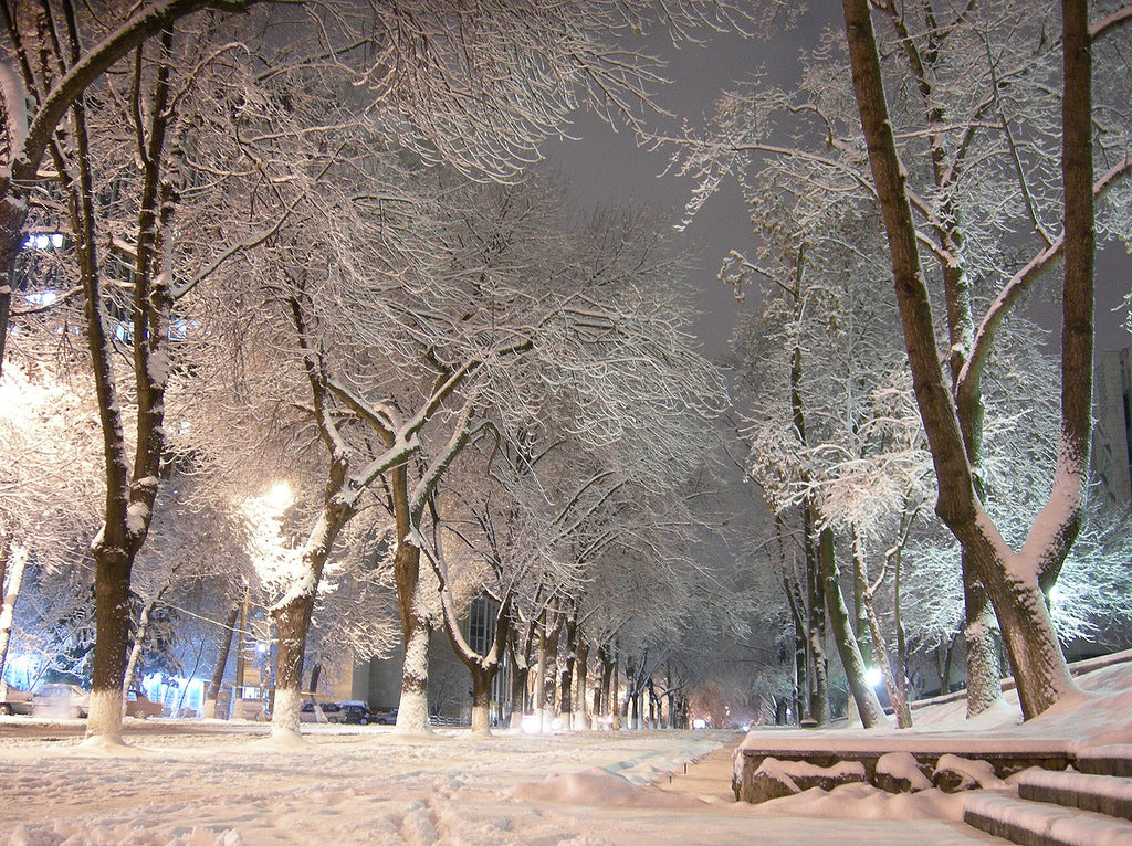 Image of The Silk Road Connection: 7 Days Across Uzbekistan and Tajikistan