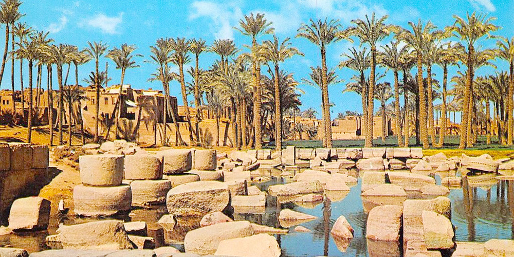 Image of Full Day Cairo: Pyramids, Step Pyramid of Djoser & Ancient Memphis