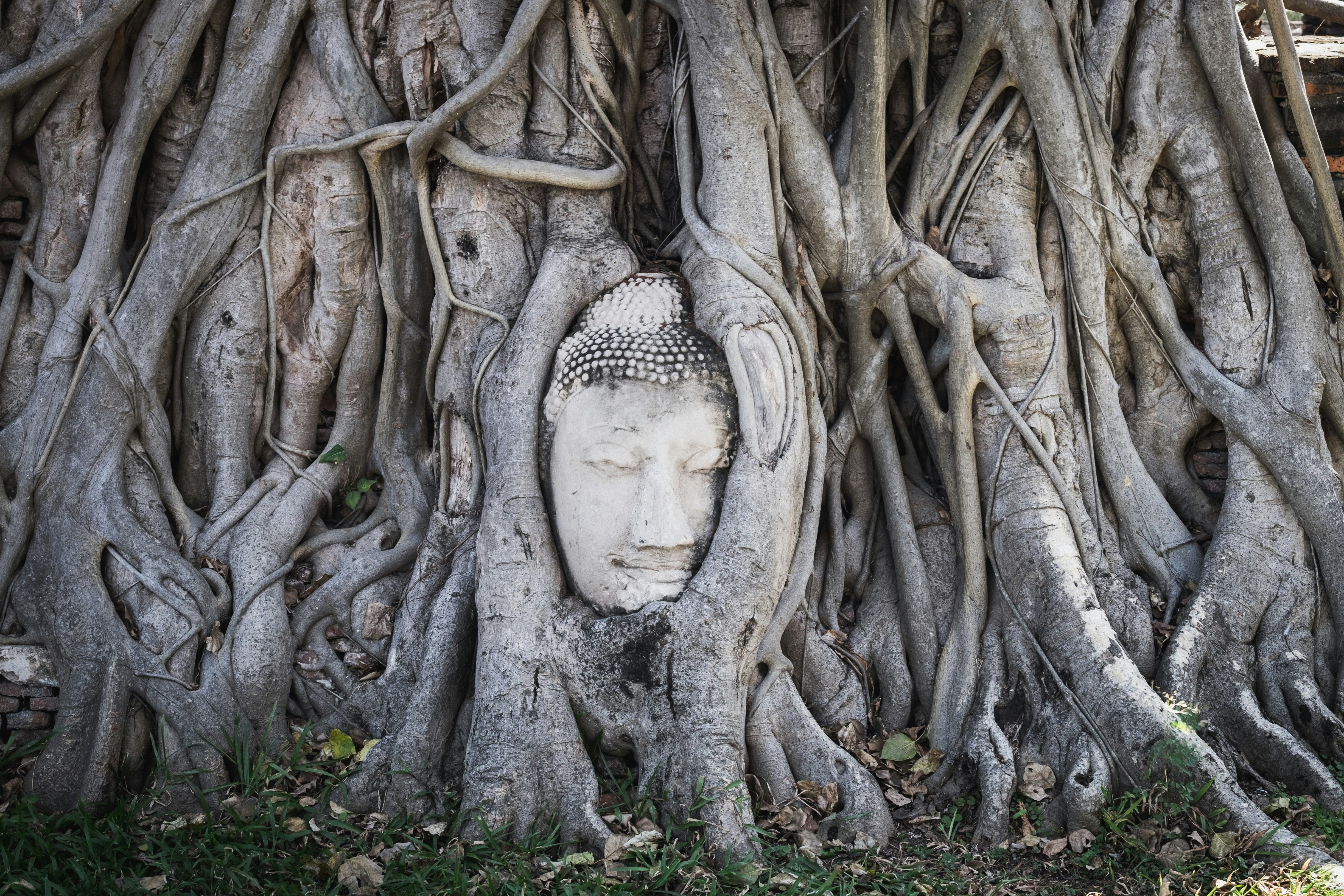 Image of Ayutthaya Timeless Temples Journey – A UNESCO Heritage Day Trip from Bangkok