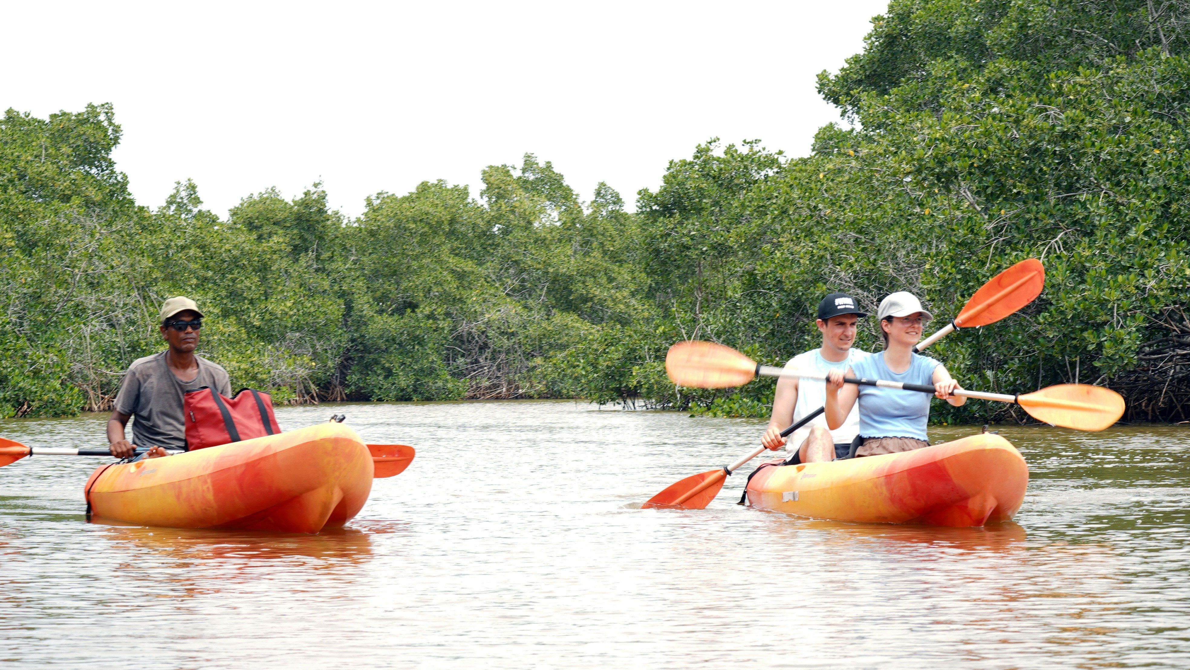 Image of Al Mafjar Mangrove Kayaking & SUP Tour – Qatar Nature Escape