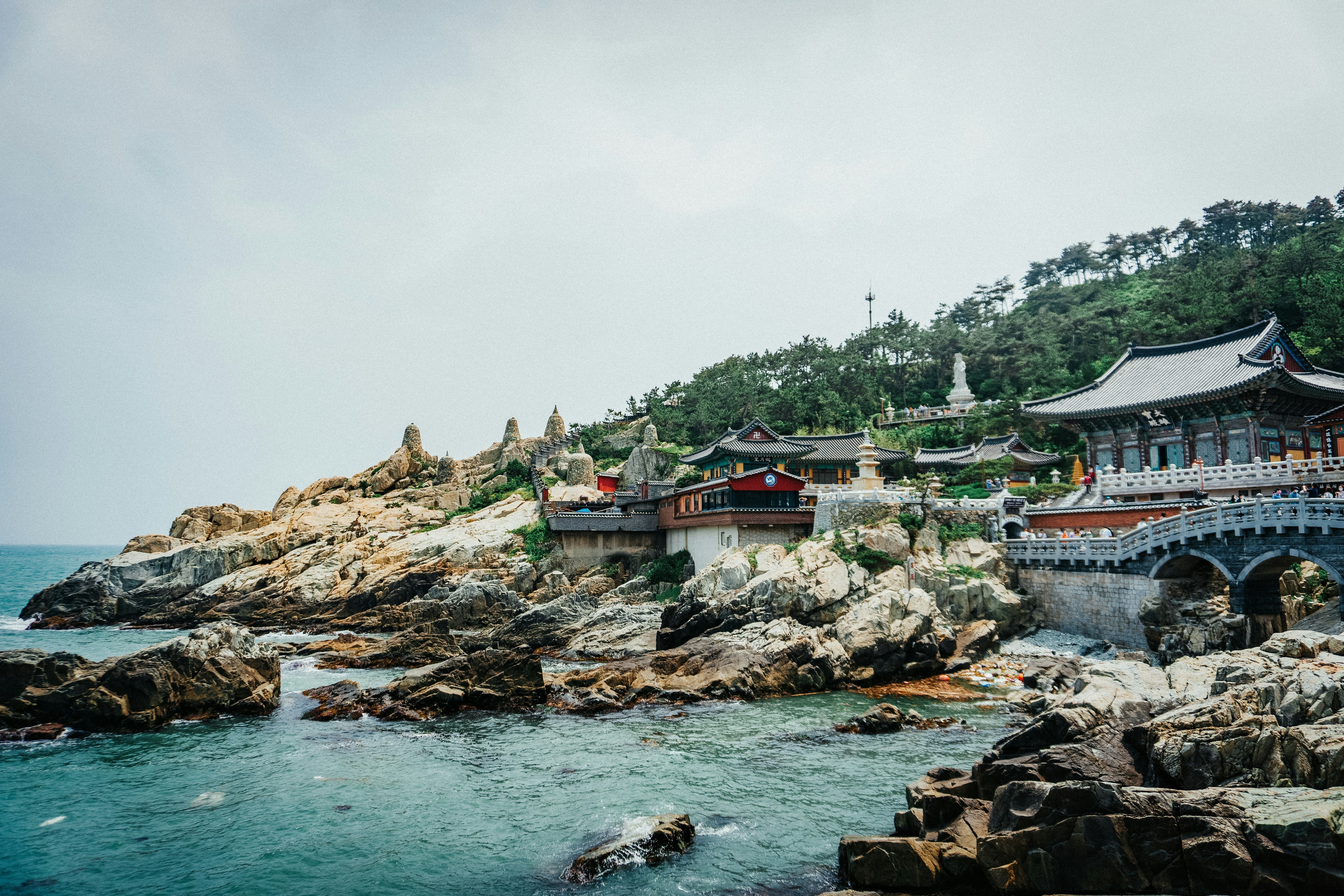 Image of 5D Korea Tour – Seoul, Nami Island & Busan Muslim-Friendly Trip