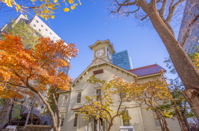 5D Hokkaido Winter Escape: Sapporo, Otaru & Noboribetsu Snow Tour